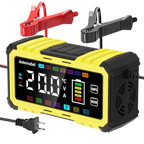 Battery Charger 20A 12V/24V LiFePO4 Lead Acid Automatic Battery Maintainer,Battery Desulfator with Temperature Compensation,Smart Car Battery Trickle Charger for Car Truck Motorcycle Lawn Mower Boat
