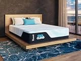 Roost Sleep Cool Cloud 14-Inch Queen Mattress, Gel Memory Foam for Back Pain Relief & Cool Sleep, Medium Plush, CertiPUR-US Certified, Made in USA, Bed in a Box