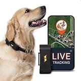 PAJ GPS Tracker for Dogs with 3 Month Subscription Included, 4G Real-Time Dog GPS Tracker with Virtual Fence, Activity & Health Monitor, Up to 10 Days Battery, Fits Any Pet Collar