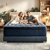 Xuqox Queen Bed Mattress,14" Hybrid Mattress in a Box,Cooling Gel Memory Foam & Pocketed Coils Spring for Motion Isolation& Medium Firm,Breathable,CertiPUR-US (Queen (U.S. Standard), 14")