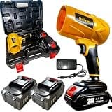 21V Cordless Blower for Car Drying, Fallen Leaves, Snow and Dust Cleaning (2 High-Cap Battery+Plastic Box)