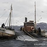 Sidlafisje