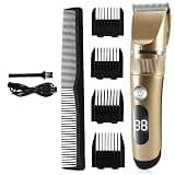 WTYBRMYO Men's Hair Clipper, Razor, Trimmer with USB Interface and LCD Screen(Gold with Box)