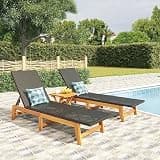PTUGUOF Sun Lounger Set of 2 with Adjustable Backrest in Black and Brown PE Rattan Solid Acacia Wood Frame Steel Construction for Outdoor Patio Garden Poolside Relaxation Modern