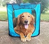 Pop Open Collapsible Travel Crate in 2 Sizes (Large)